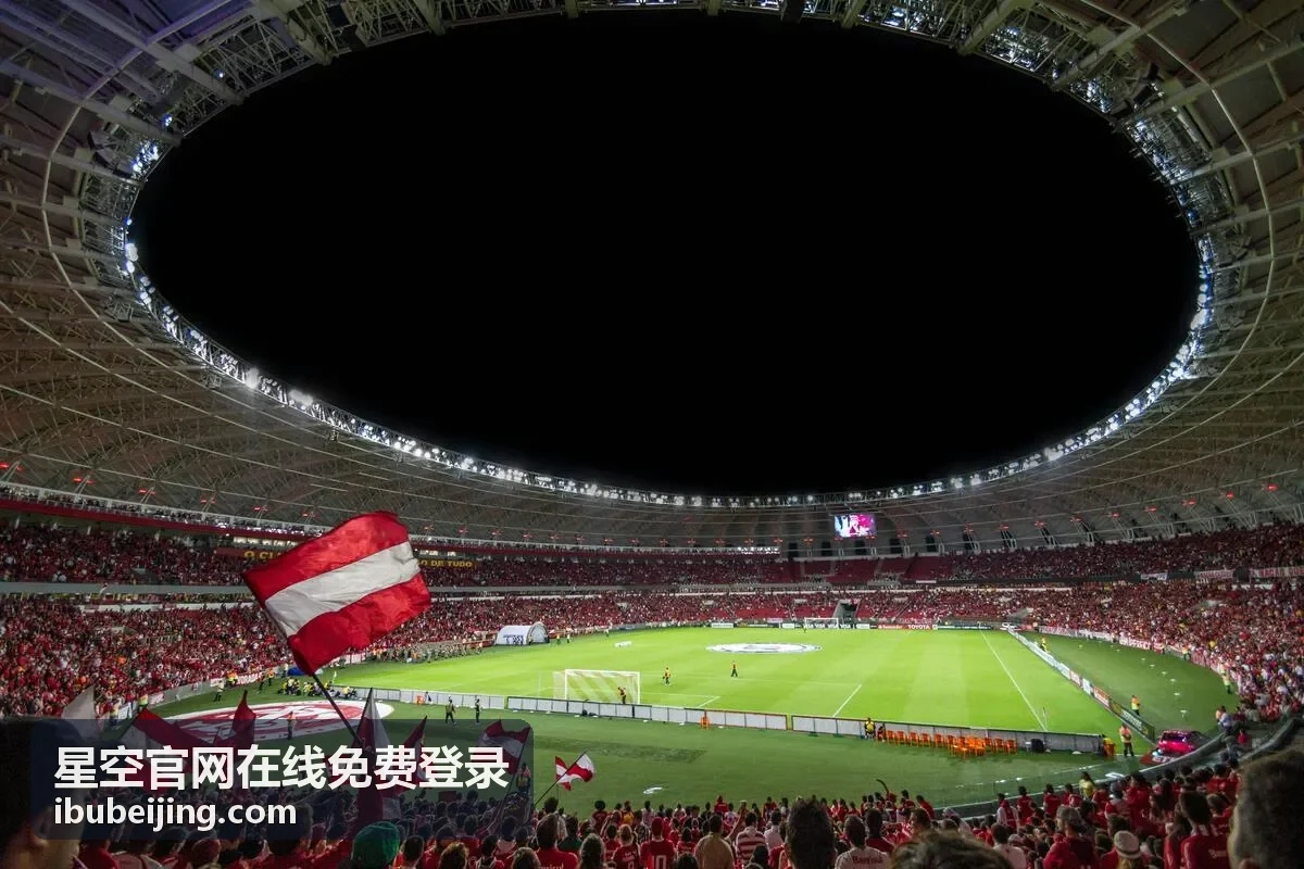 星空官网账号安全帮助指南