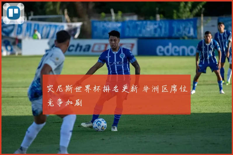 突尼斯世界杯排名更新 非洲区席位竞争加剧