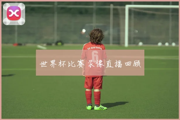 世界杯比赛录像直播回顾