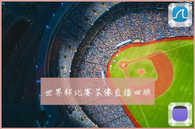 世界杯比赛录像直播回顾